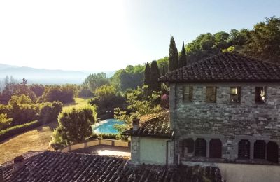 Borg til salg Vicchio, Toscana, Udsigt