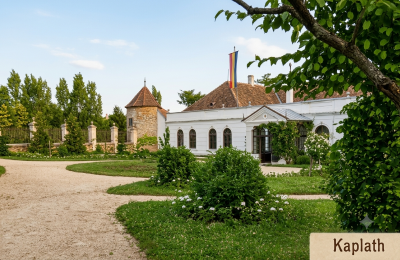 Herregård til salg Koplotovce,  kaštieľ, Trnavský kraj, upravená dobova foto