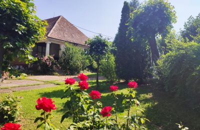 Herrgård till salu Trnavský kraj, okres Hlohovec, Koplotovce, Frídeský kaštieľ, Trnavský kraj, Vedlajšia kúria