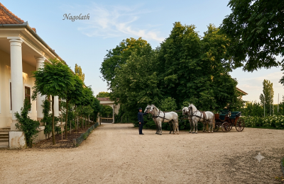 Herregård til salg Koplotovce,  kaštieľ, Trnavský kraj, upravení dobová foto