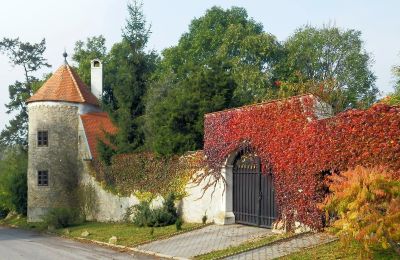 Herrenhaus/Gutshaus kaufen Trnavský kraj, okres Hlohovec, Koplotovce, Frídeský kaštieľ, Region Trnava, Eingang