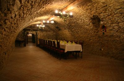 Herrenhaus/Gutshaus kaufen Trnavský kraj, okres Hlohovec, Koplotovce, Frídeský kaštieľ, Region Trnava, Foto 17/31