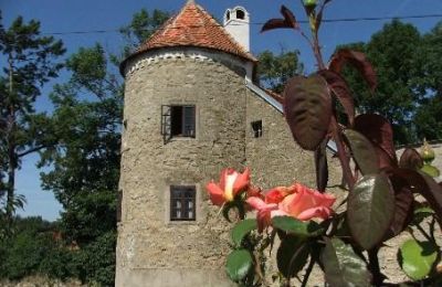 Herrenhaus/Gutshaus kaufen Trnavský kraj, okres Hlohovec, Koplotovce, Frídeský kaštieľ, Region Trnava, Foto 3/31