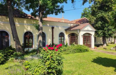 Herrgård till salu Trnavský kraj, okres Hlohovec, Koplotovce, Frídeský kaštieľ, Trnavský kraj, Hlavná kúria
