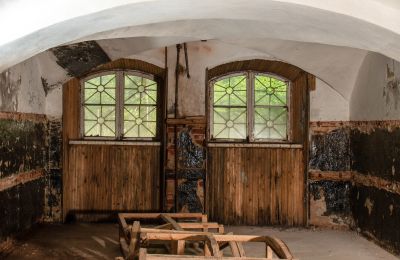 Herregård til salg Virķēni, Virķēnu muiža, Vidzeme, Kælder
