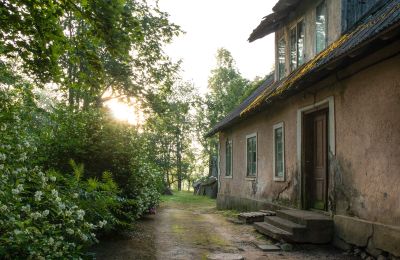 Herregård til salg Virķēni, Virķēnu muiža, Vidzeme, Billede 14/22