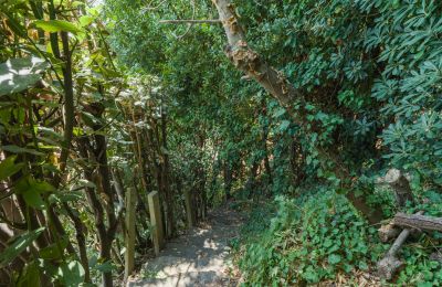 Historisk villa till salu Montecalvoli, Toscana, Bild 39/44