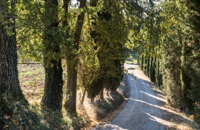 Historisk villa til salgs Torrenieri, Toscana, Innkjørsel