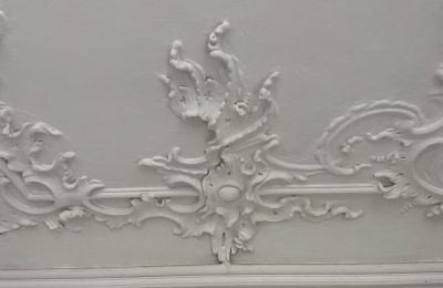 Schloss kaufen Baden-Württemberg, Foto 35/38