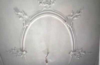 Schloss kaufen Baden-Württemberg, Foto 34/38