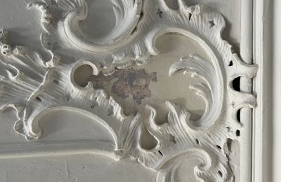 Schloss kaufen Baden-Württemberg, Foto 32/38