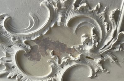 Schloss kaufen Baden-Württemberg, Foto 31/38