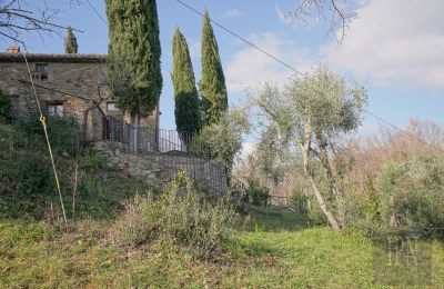 Landsted til salgs Cortona, Toscana, Bilde 14/35