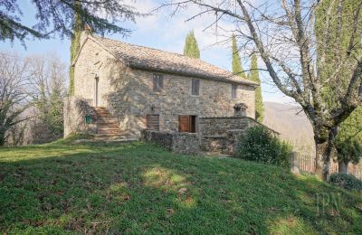 Landsted til salgs Cortona, Toscana, Bilde 3/35