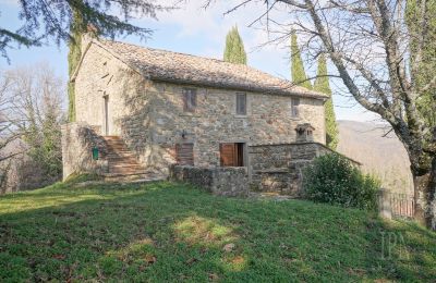 Landsted til salgs Cortona, Toscana, Bilde 8/35