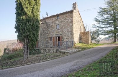Landsted til salgs Cortona, Toscana, Bilde 9/35