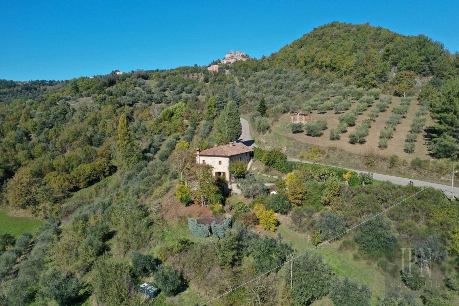 Bilder Terrace Valley View - Farmhouse in Monte Santa Maria Tiberina