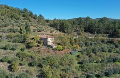 Landsted til salgs 06010 Monte Santa Maria Tiberina, Umbria, Bilde 3/28