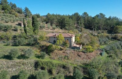 Landsted til salgs 06010 Monte Santa Maria Tiberina, Umbria, Bilde 4/28
