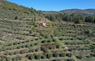 Landsted til salgs 06010 Monte Santa Maria Tiberina, Umbria, Bilde 5/28