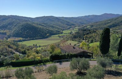 Landsted til salgs 06010 Monte Santa Maria Tiberina, Umbria, Bilde 7/28