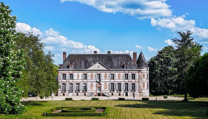Slot til salg Sens, Bourgogne-Franche-Comté,  Frankrig