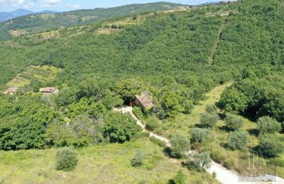 Landsted til salgs Perugia, Umbria, Bilde 1/23