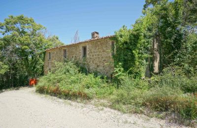 Landsted til salgs Perugia, Umbria, Bilde 12/23
