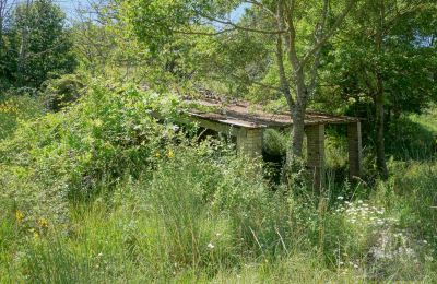 Landsted til salgs Perugia, Umbria, Bilde 13/23