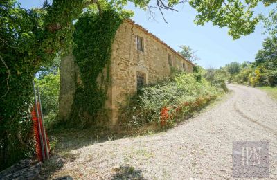 Landsted til salgs Perugia, Umbria, Bilde 15/23