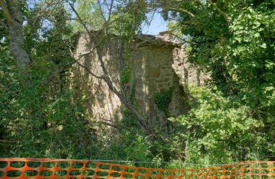 Landsted til salgs Perugia, Umbria, Bilde 17/23