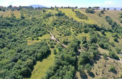 Landsted til salgs Perugia, Umbria, Bilde 6/23