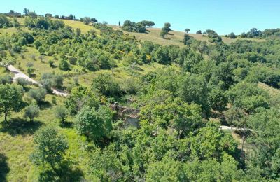 Landsted til salgs Perugia, Umbria, Bilde 8/23