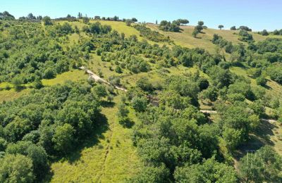 Landsted til salgs Perugia, Umbria, Bilde 9/23