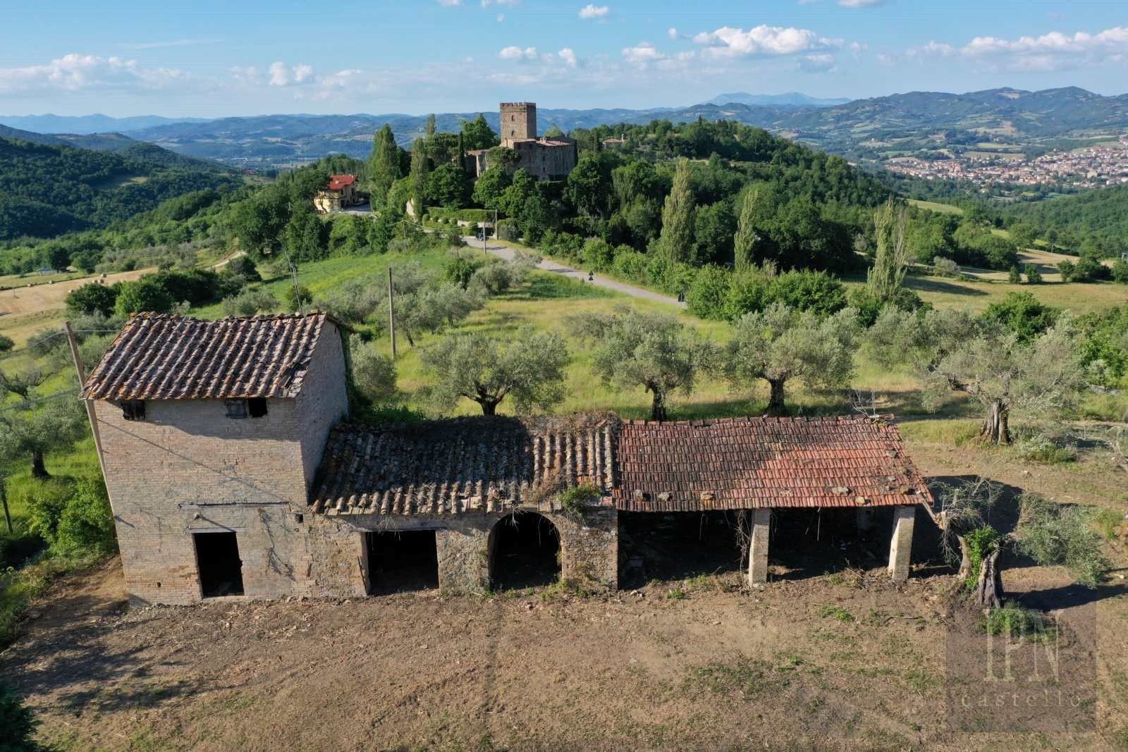 Bilder Polgeto Olive Barn Project