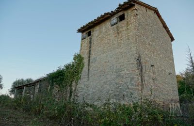 Landsted til salgs 06019 Umbertide, Umbria, Bilde 11/14