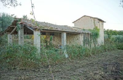 Landsted til salgs 06019 Umbertide, Umbria, Bilde 12/14