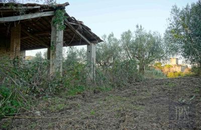 Landsted til salgs 06019 Umbertide, Umbria, Bilde 13/14