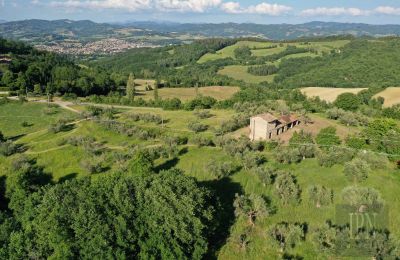 Landsted til salgs 06019 Umbertide, Umbria, Bilde 3/14