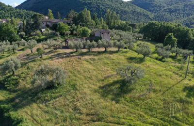 Landsted til salgs 06019 Umbertide, Umbria, Bilde 5/14