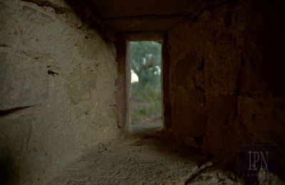 Landsted til salgs 06019 Umbertide, Umbria, Bilde 7/14