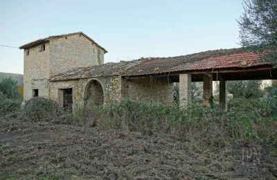 Landsted til salgs 06019 Umbertide, Umbria, Bilde 9/14
