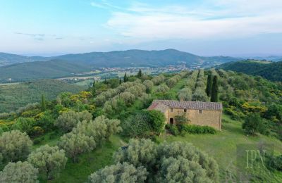Landsted til salgs 06073 Corciano, Umbria, Bilde 10/42