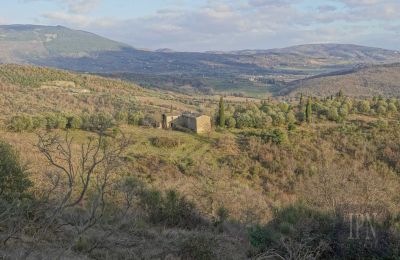 Landsted til salgs 06073 Corciano, Umbria, Bilde 15/42