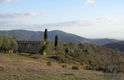Landsted til salgs 06073 Corciano, Umbria, Bilde 20/42