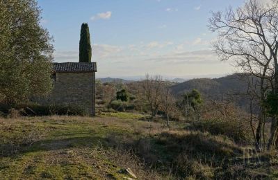 Landsted til salgs 06073 Corciano, Umbria, Bilde 21/42