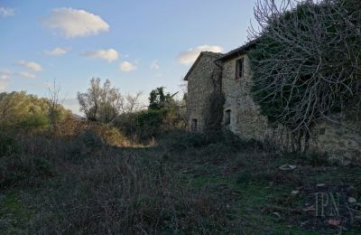 Landsted til salgs 06073 Corciano, Umbria, Bilde 26/42