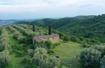 Landsted til salgs 06073 Corciano, Umbria, Bilde 3/42