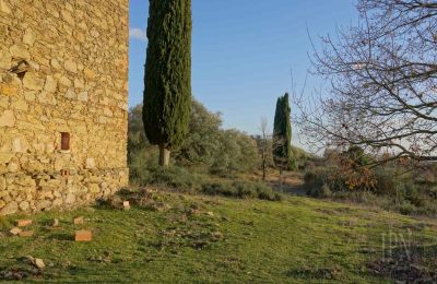 Landsted til salgs 06073 Corciano, Umbria, Bilde 41/42