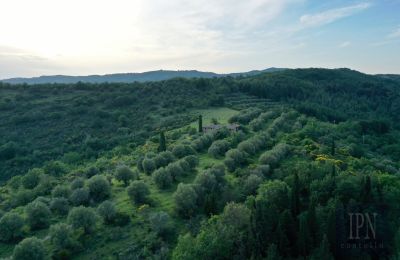 Landsted til salgs 06073 Corciano, Umbria, Bilde 5/42